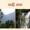 Deraniyagala Pictures